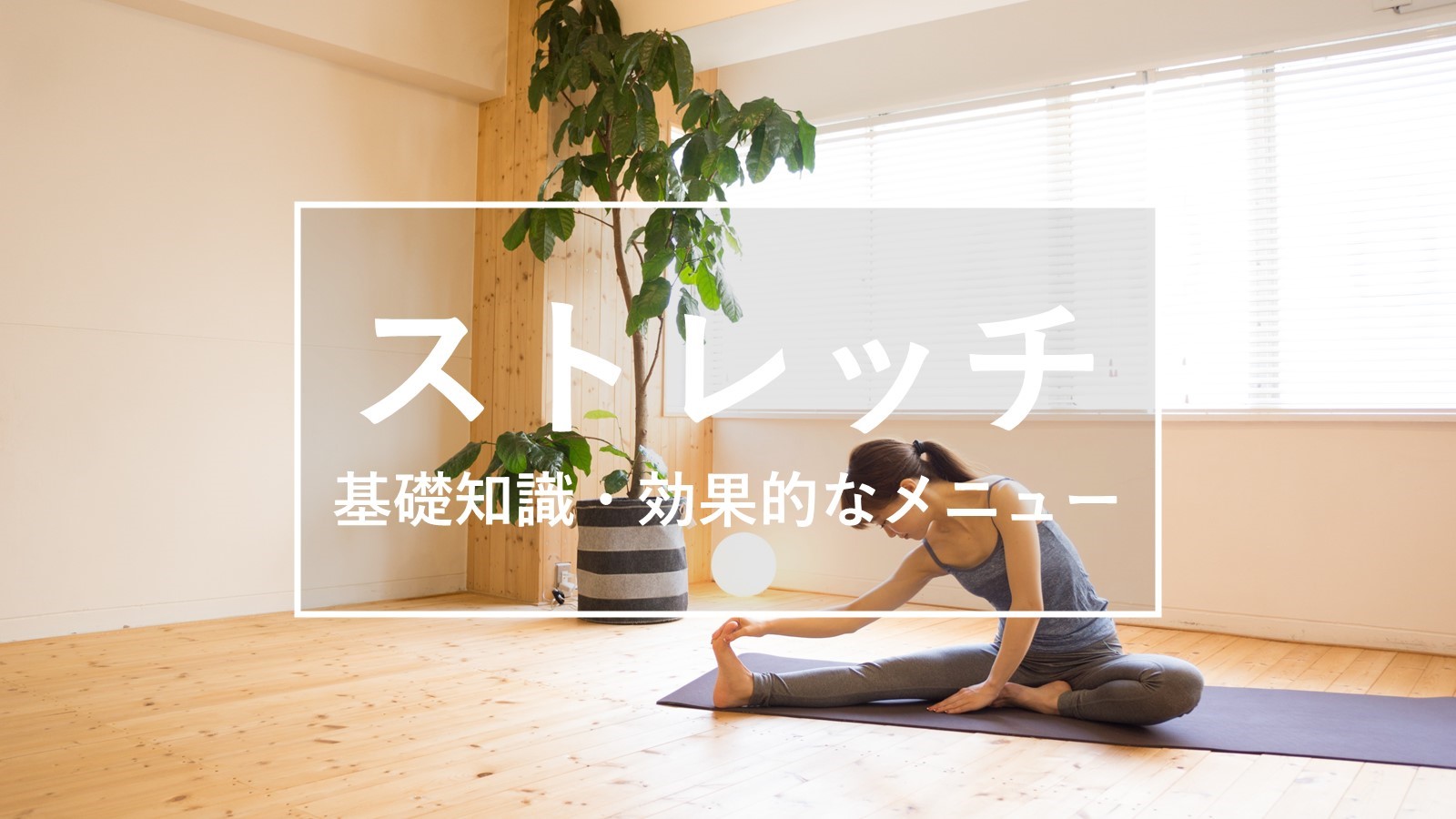 ストレッチ　基礎知識・効果的なメニュー